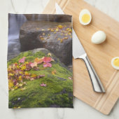 Linge De Cuisine États-Unis, Washington, Seattle (Quart Plié)