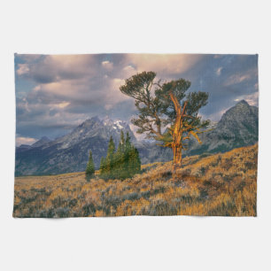 Linge De Cuisine États-Unis, Wyoming, Grand Teton NP. Le lever du s