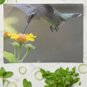 Linge De Cuisine Été Hummer ! (Plié)