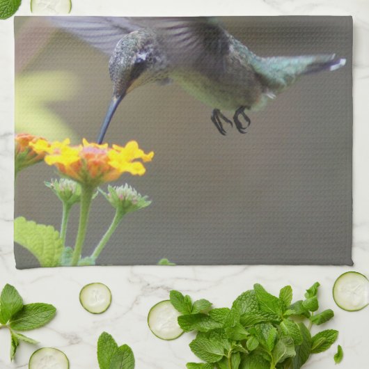 Linge De Cuisine Été Hummer ! (Plié)