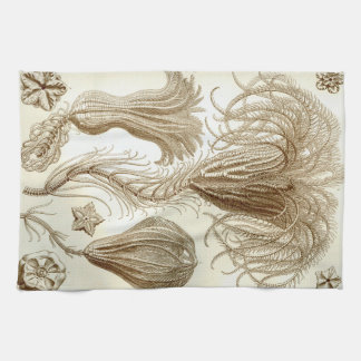 Linge De Cuisine Étoiles de plume d'Ernst Haeckel Crinoidea