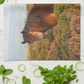 Linge De Cuisine Exmoor pony, cheval, Somerset, Angleterre (Plié)