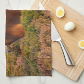 Linge De Cuisine Exmoor pony, cheval, Somerset, Angleterre (Quart Plié)