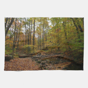 Linge De Cuisine Fall Creek à Laurel Hill State Park Pennsylvania