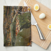 Linge De Cuisine Fall Creek avec réflexion à Laurel Hill Park (Quart Plié)