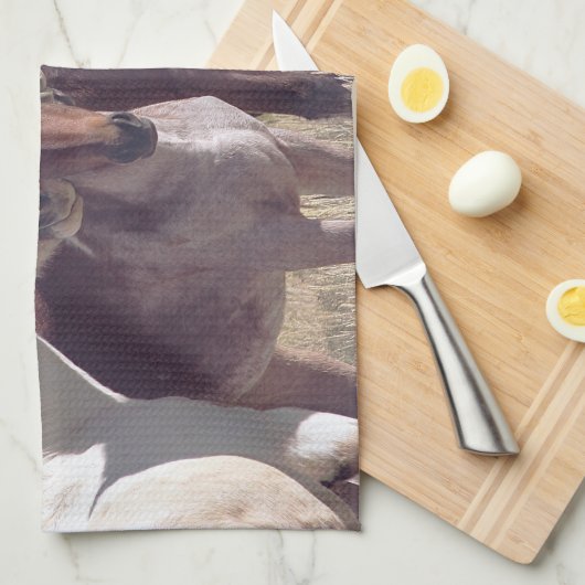 Linge De Cuisine Famille (Quart Plié)