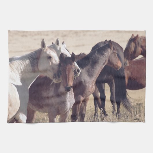 Linge De Cuisine Famille (Horizontal)