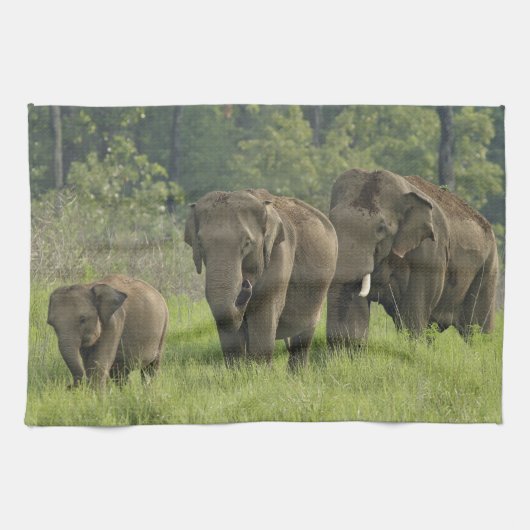 Linge De Cuisine Famille d'éléphants indiens (Horizontal)