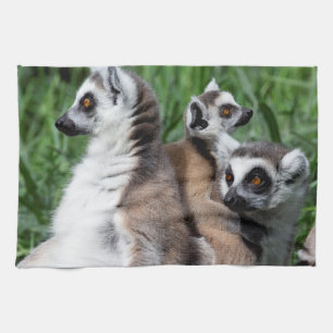 Linge De Cuisine Famille Lemur à queue de ceinture