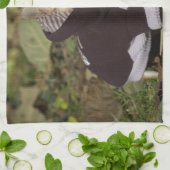 Linge De Cuisine Fancy Chihuahua (Plié)