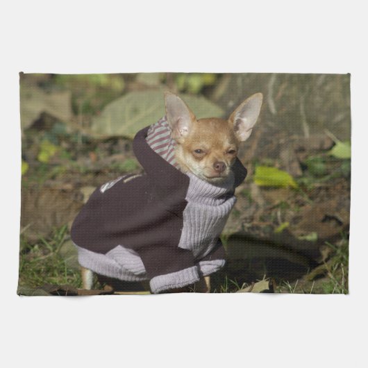 Linge De Cuisine Fancy Chihuahua (Horizontal)