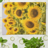 Linge De Cuisine Farms | A Sunflower Field (Plié)