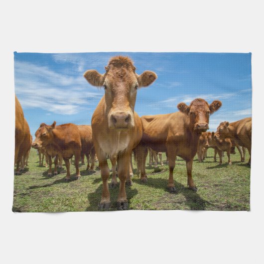 Linge De Cuisine Farms | Brown cow (Horizontal)
