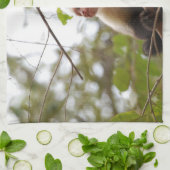 Linge De Cuisine Faune au Costa Rica : Singe Capucin Face Blanc (Plié)