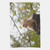 Linge De Cuisine Faune au Costa Rica : Singe Capucin Face Blanc (Vertical)