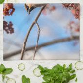 Linge De Cuisine Faune canadienne : Bohemian Waxwing Photography (Plié)