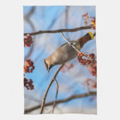 Linge De Cuisine Faune canadienne : Bohemian Waxwing Photography (Vertical)