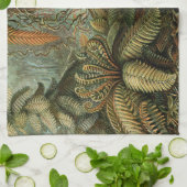 Linge De Cuisine Ferns Palm Tree Antiquité Botanique Ferns Art (Plié)