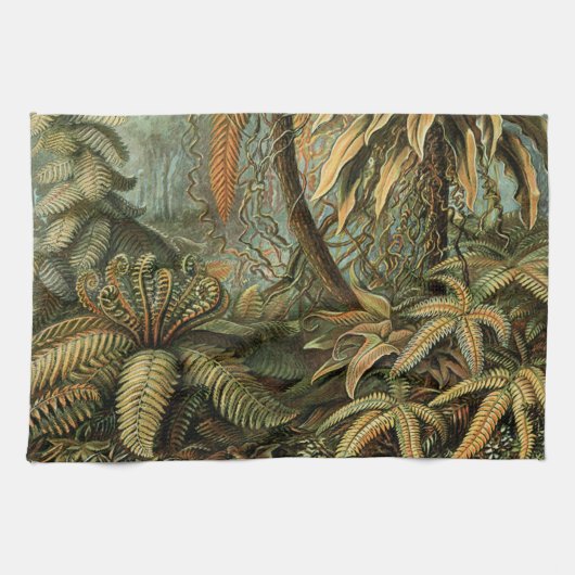 Linge De Cuisine Ferns Palm Tree Antiquité Botanique Ferns Art (Horizontal)