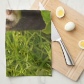 Linge De Cuisine Ferret Brown dans l'herbe (Quart Plié)