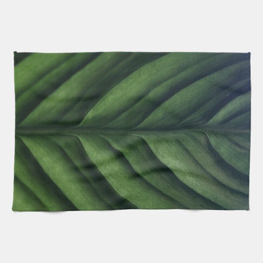 Linge De Cuisine Feuille verte, feuille de bananier, rayée, pliée (Horizontal)