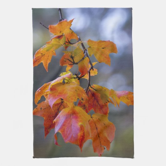 Linge De Cuisine Feuilles d'automne (Vertical)