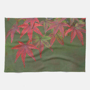 Linge De Cuisine Feuilles d'érable, Katsura, Kyoto, Japon