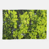 Linge De Cuisine Feuilles Mouchetées de Soleil dans la Forêt (Horizontal)