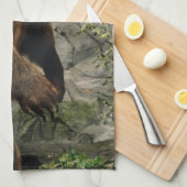 Linge De Cuisine Fière Ours (Quart Plié)