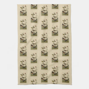 Linge De Cuisine Finch, Towhee, Sparrow, Audubon's Birds of America