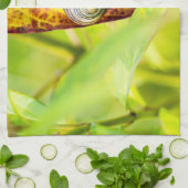 Linge De Cuisine fixation calme (Plié)