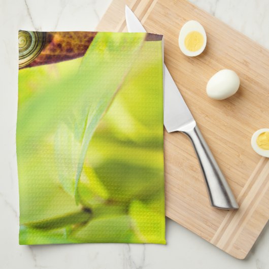 Linge De Cuisine fixation calme (Quart Plié)