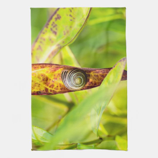 Linge De Cuisine fixation calme (Vertical)