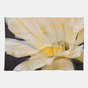 Linge De Cuisine fleur de cactus Echinopsis Charlemagne