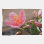 Linge De Cuisine Fleur de Jatropha Rose Clair (Horizontal)