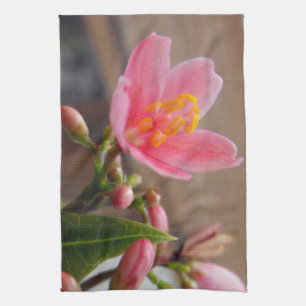 Linge De Cuisine Fleur de Jatropha Rose Clair