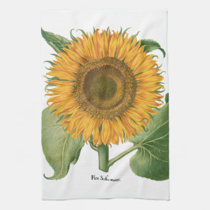 Linge De Cuisine Fleur de tournesol vintage par Basilius Besler