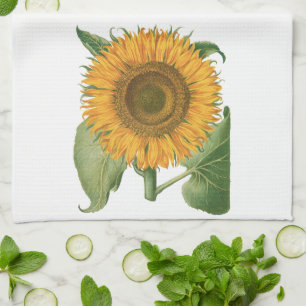 Linge De Cuisine Fleur de tournesol vintage par Basilius Besler