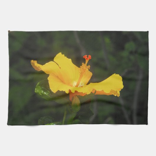 Linge De Cuisine Fleur d'Hibiscus Orange (Horizontal)