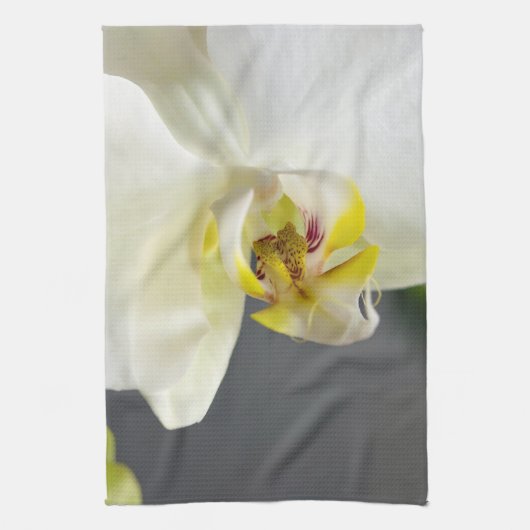 Linge De Cuisine Fleur d'orchidée blanche (Vertical)