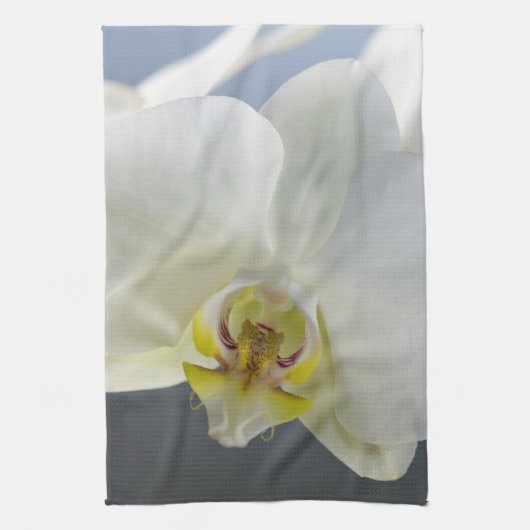 Linge De Cuisine Fleur d'orchidée blanche (Vertical)