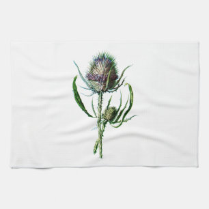 Linge De Cuisine Fleur sauvage d'antiquité de chardon d'écossais