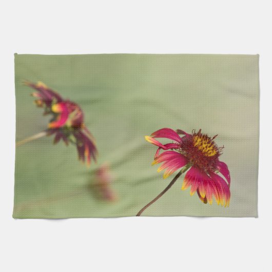 Linge De Cuisine Fleurs de cône qui commencent à fleurir (Horizontal)