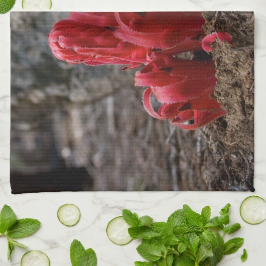 Linge De Cuisine Fleurs de neige (Plié)