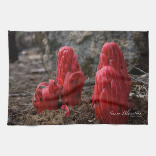 Linge De Cuisine Fleurs de neige