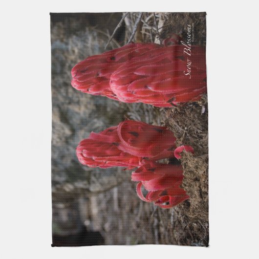 Linge De Cuisine Fleurs de neige (Vertical)