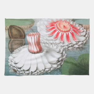 Linge De Cuisine Fleurs de nénuphars vintage, nénuphars dans un éta