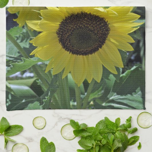 Linge De Cuisine Fleurs de soleil (Plié)