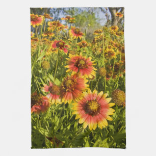 Linge De Cuisine Fleurs Firewheels Gaillardia pulchella