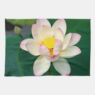 Linge De Cuisine Fleurs   Lotus Water Flower